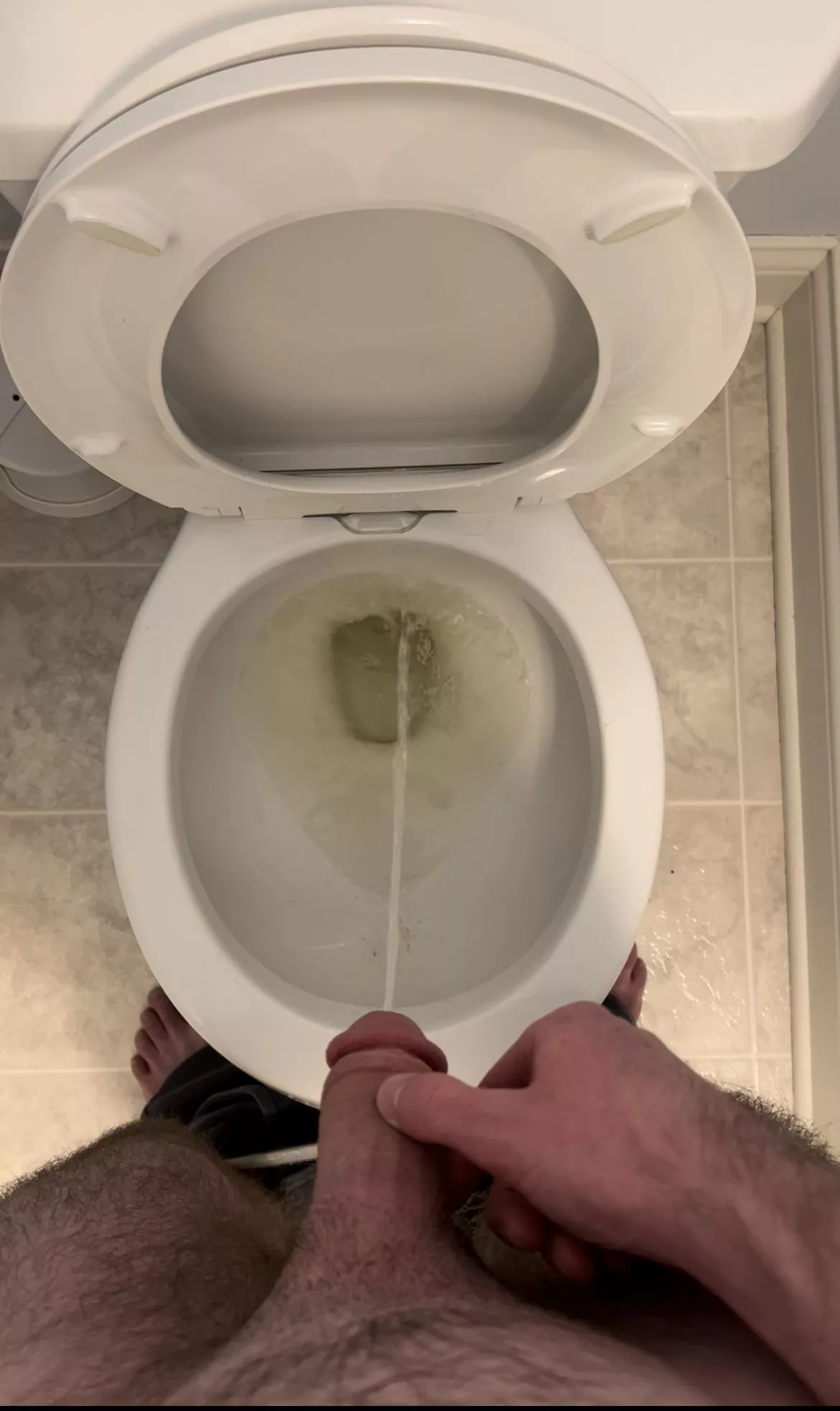 Any cuties want to replace my toilet? posted by Professional-Kale-26