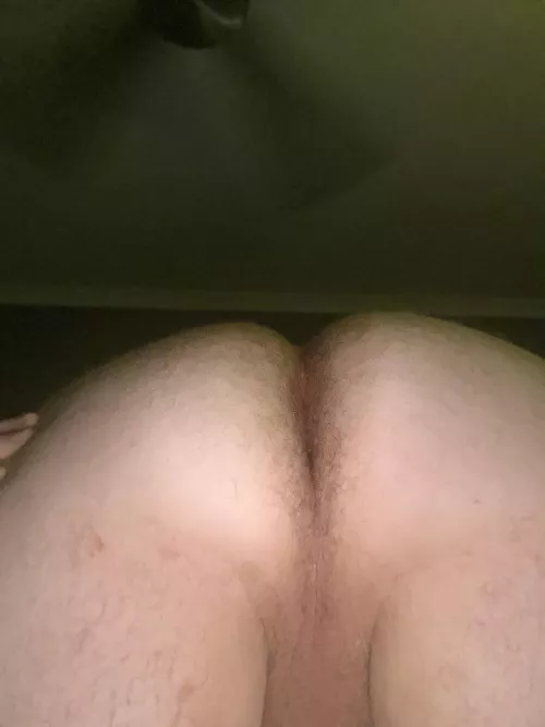 Any daddy Bears need a snack ? by Thiccboymelbourne