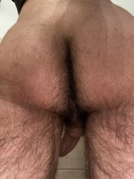 Any daddys want my ass? by Japknox