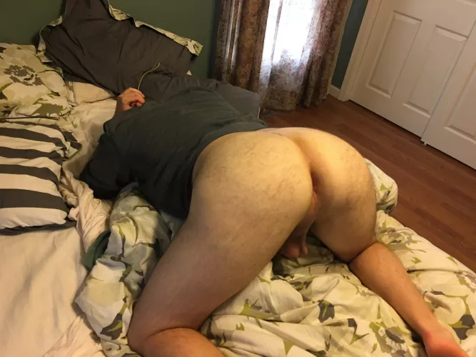 Any gaymer bois want to fill my hole and play pc games? by Pitchmeatent