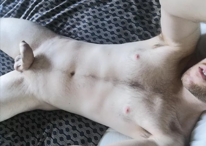 Any love for a thick, uncut soft cock? by z0i2d