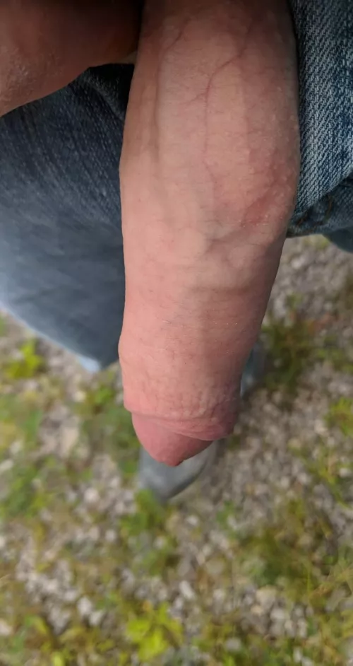 Any love for a work softie in here today? by rex-hymen