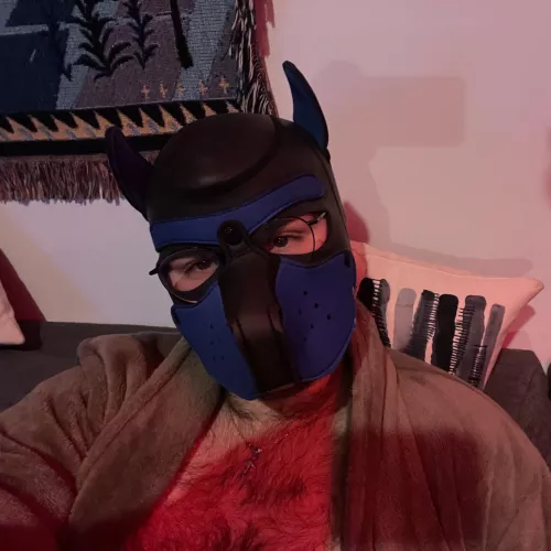 Any love for pups with glasses ? by Jo37123