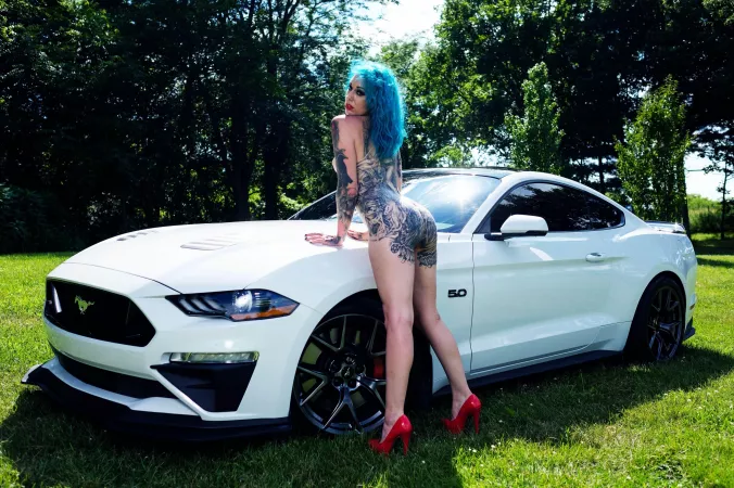 Any mustang fans? ;) by tetratormenta13