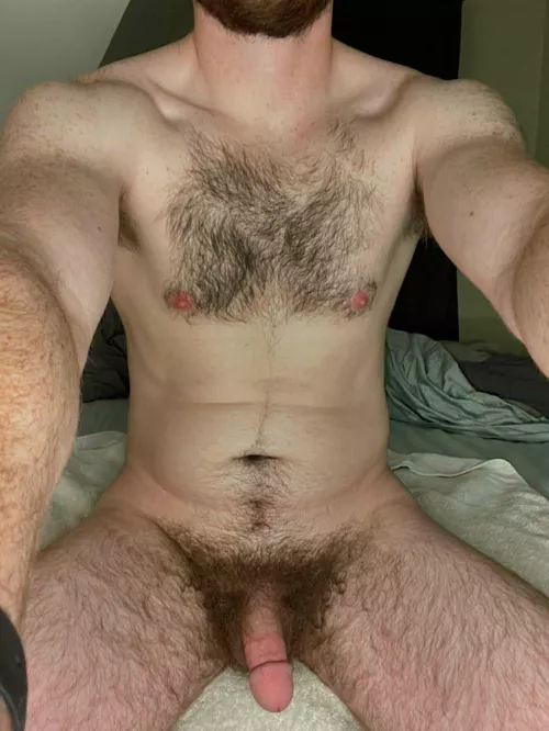 Any other hairy gaymers?? by Ok_Mammoth_2756