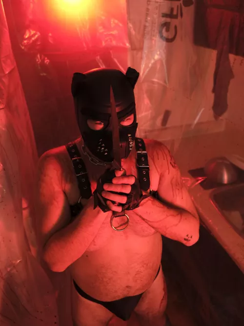 Any pups want to get bloody with me? by pup_chain