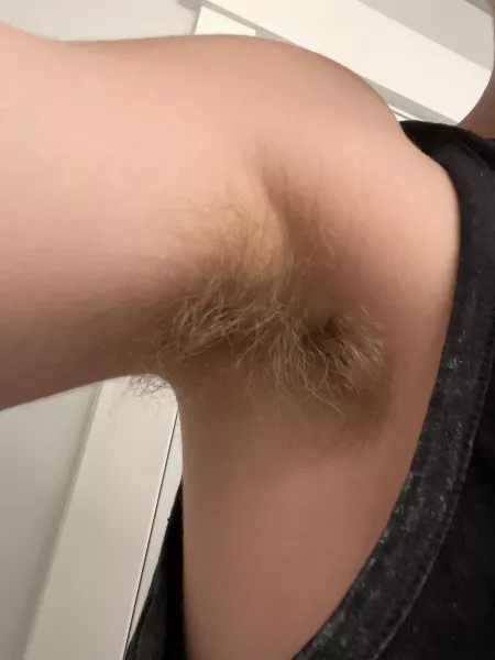 any takers? by a_cool_pigeon