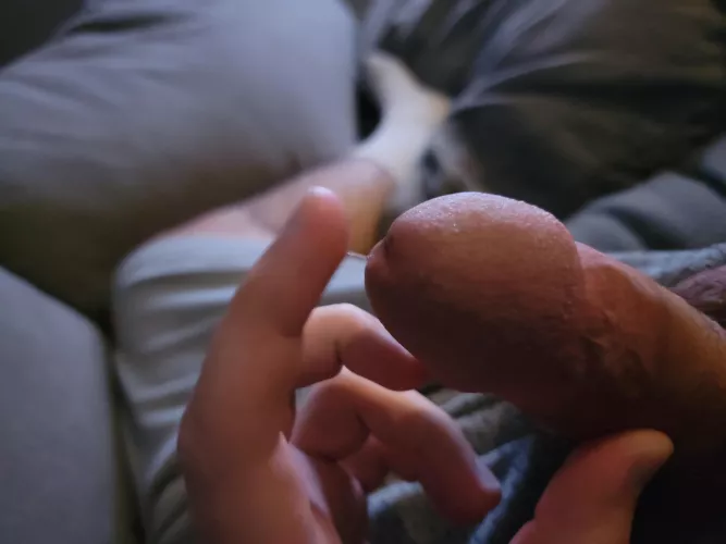 Any thoughts? Open to DM out chat by rareocelot