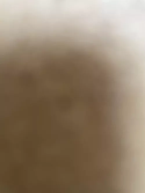 Any trans girls near Detroit mi wanna text? Or any trans girls by Silly_Tomato_5222