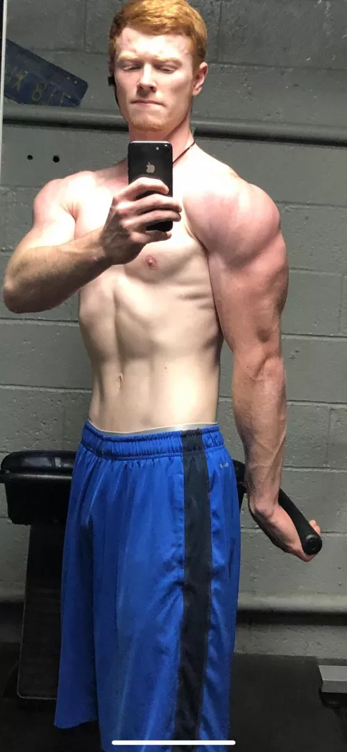 Anybody here like gingers?👀👀 by Funny_Exercise_1248