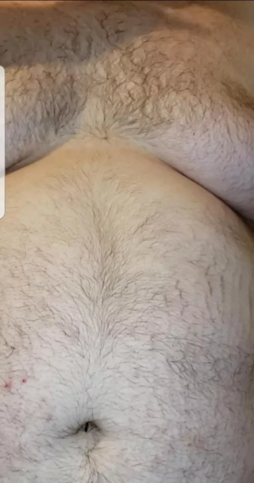 Anybody Like? by akachub