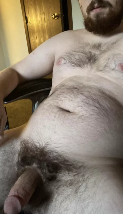 Anybody need a lap to sit in? by throwaway_bearboi