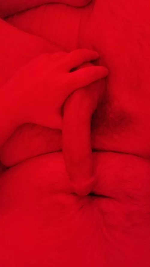 Anybody want to come finish me off? 😉 by Curi0usCub