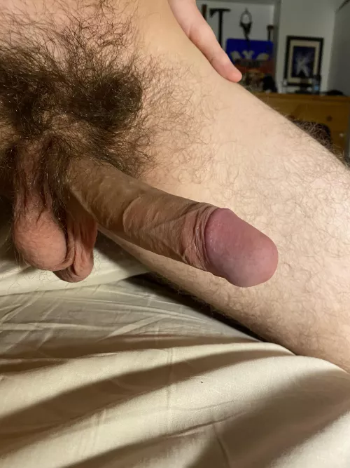 Anyone awake to appreciate this? by hornybiguy2