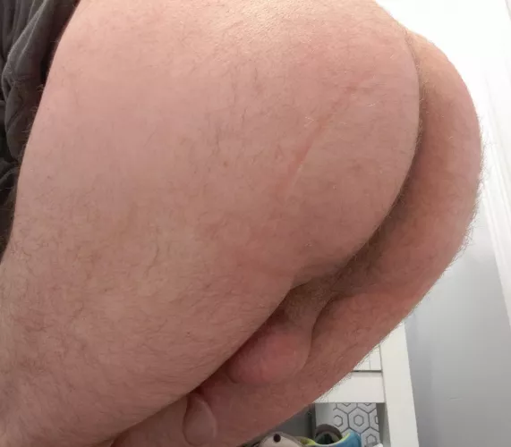 Anyone else have a hairy ass but shaved balls? by According-Occasion41