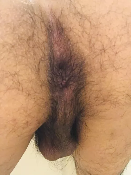 Anyone else love it sweaty, hairy and ripe? 🐽👅 by 4L4D4B4