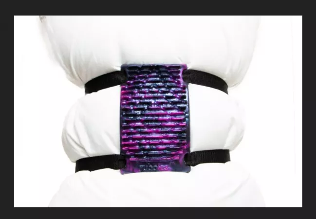 Anyone ever try one of these? If you did how was it?