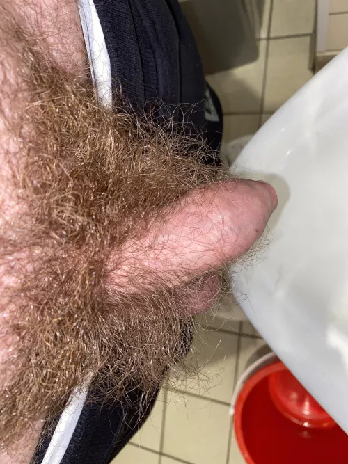 Anyone here with a hairy shaft or admirers check out my new sub r/hairiershafts! Not just bushes but actual hairy dicks! (Hope it’s ok to post here) by Danl5