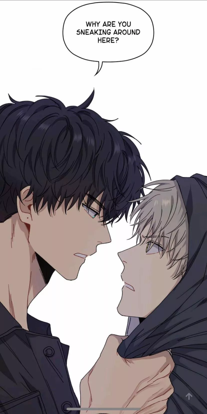 Anyone Know The Name of This? It’s The Roommate One posted by blushbryblue