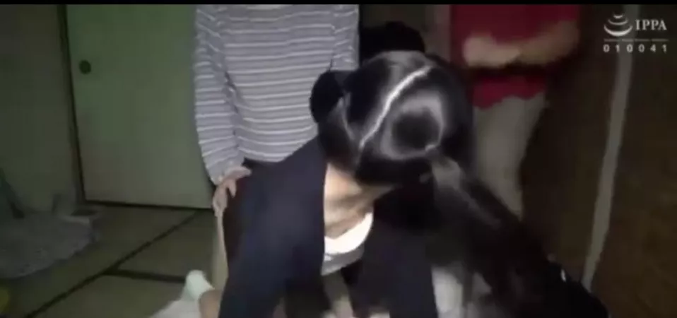 Anyone know the sauce ? by yaki-shu