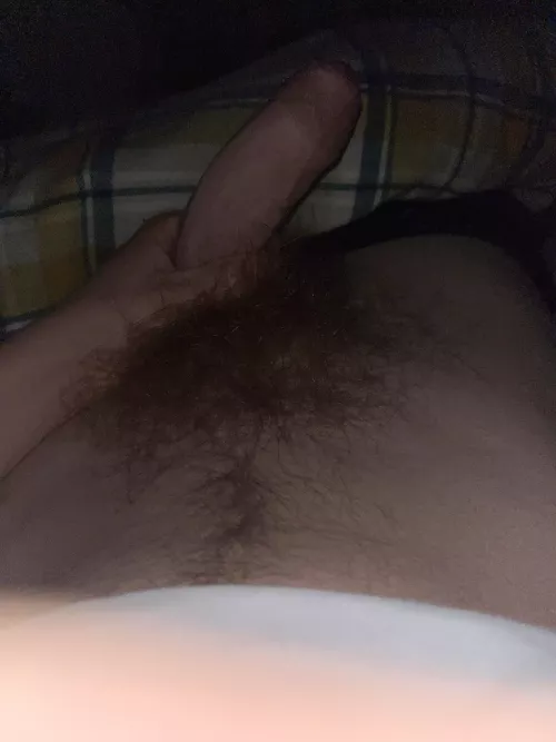 Anyone lend a hand? (DM’s welcome) by EfficientBusses