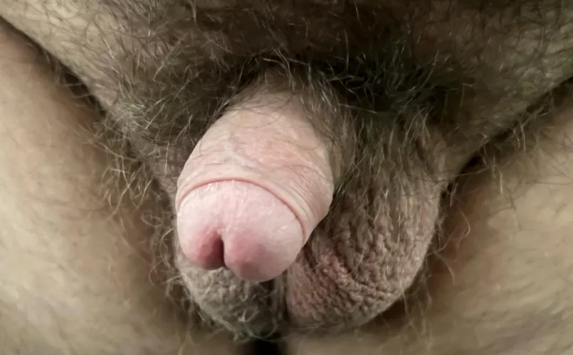 Anyone Like? [21] DMs Open by USALegalAlien