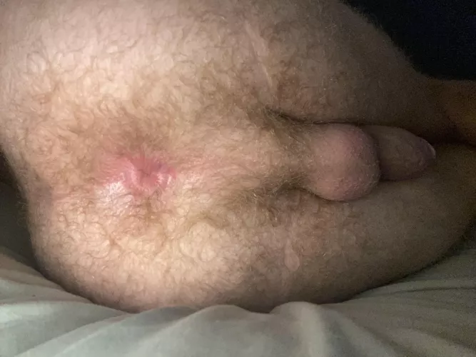 Anyone like gingers with tight pink assholes? (19) by degtheging