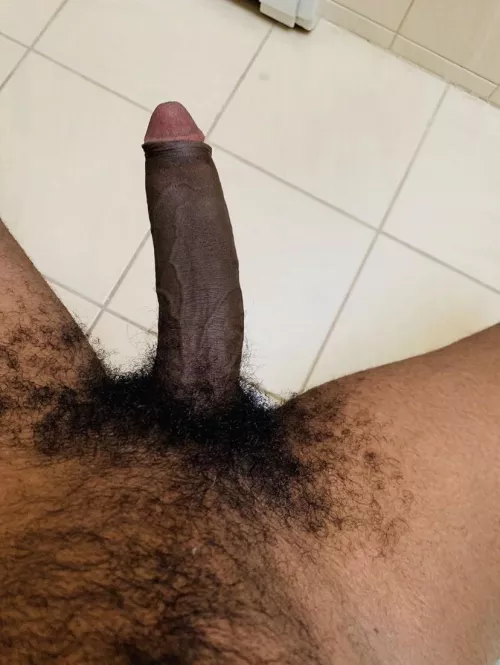 anyone like hairy bbc? by trionyc