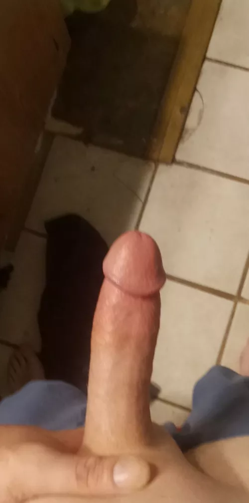 Anyone like it? by LavishnessThin