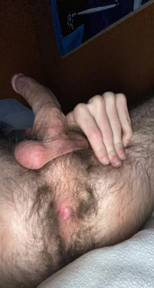 Anyone like my fur by Specific-Substance-3