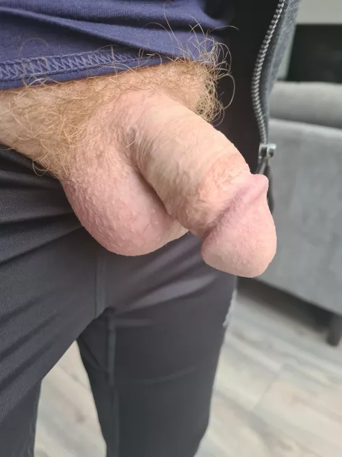 Anyone like shaved balls and bushy pubes? by Redserdec69