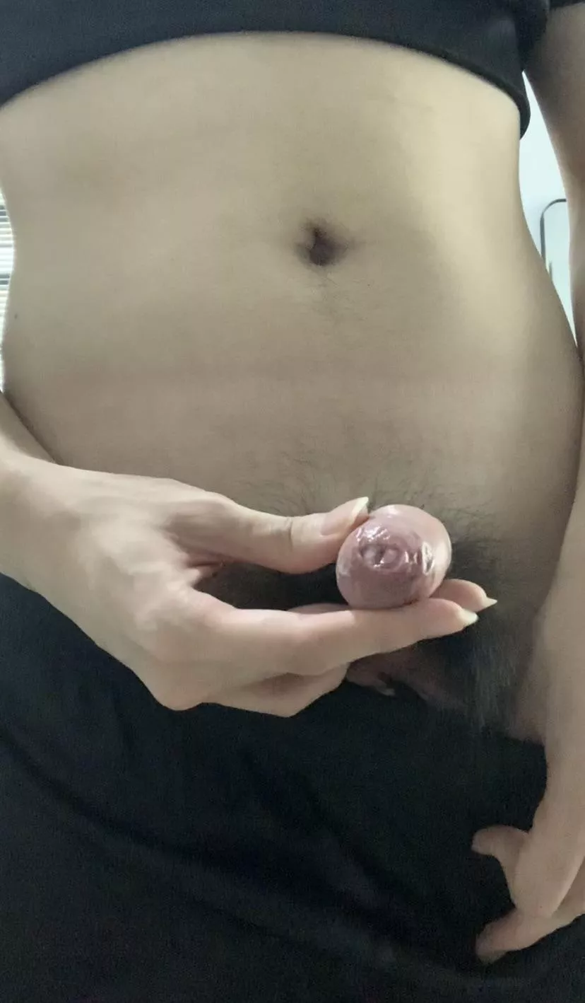 Anyone like this tight foreskin 🥺🥺 posted by Cheschestan