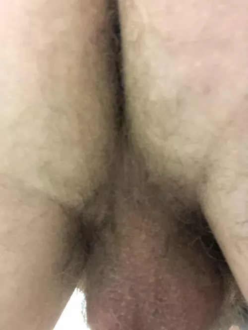 Anyone like this view? by lonelylizard343