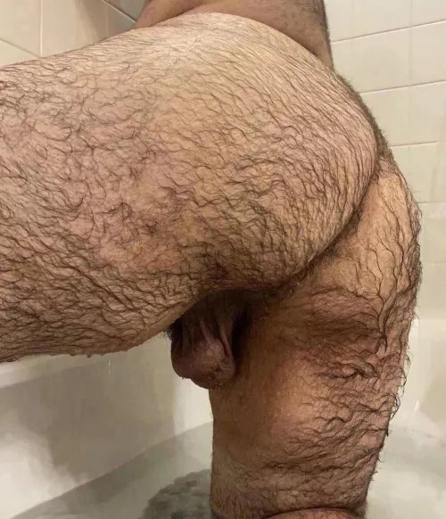 Anyone like wet hairy ass? by ArturoMichaelX