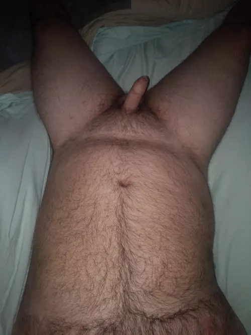 Anyone looking for a snuggle buddy by sasquatch19901