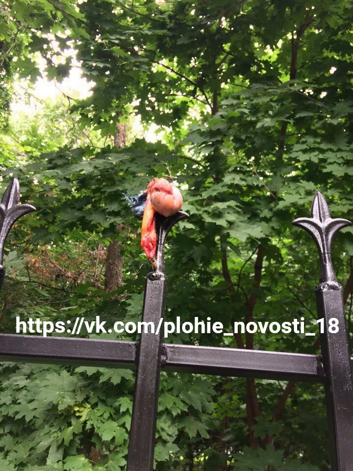 Anyone lost a penis? posted by retro_nihil