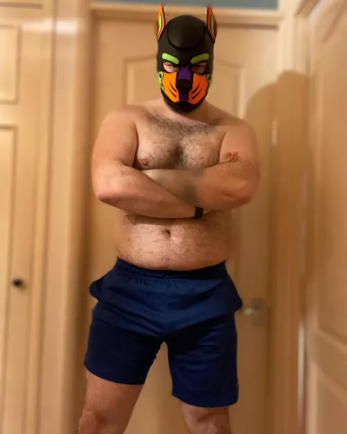 Anyone need a furry hug? 🐶🐾Insta: pup.spencer 🐾