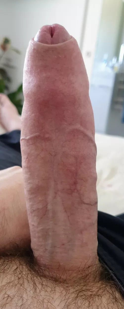 Anyone need a stuffing? by MVLSNZ2