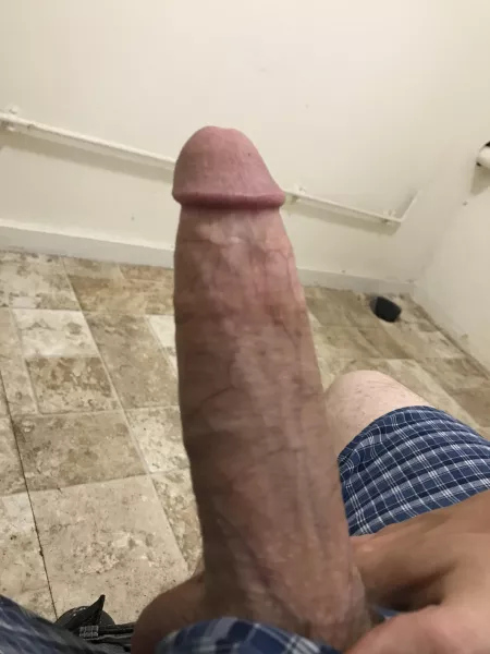 Anyone up for a ride? by Seapizzle