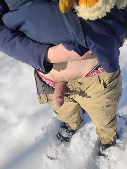 Anyone up for Snowshoeing? I promise we will take lots of breaks 👅 20 by funnystuff1212