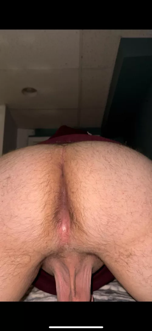 anyone wanna eat my hole? by Adept_Comb6905