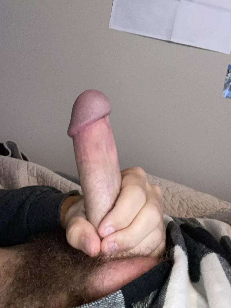 anyone wanna ft and masturbate together? posted by Bison-Tight