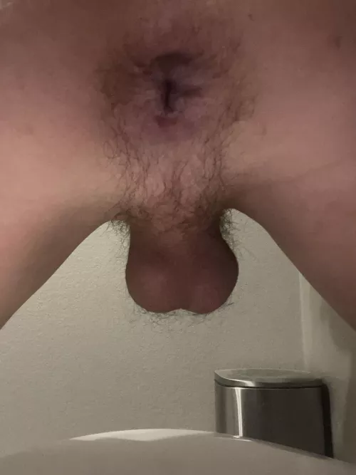 Anyone wanna loosen it up by Gopatriots_12