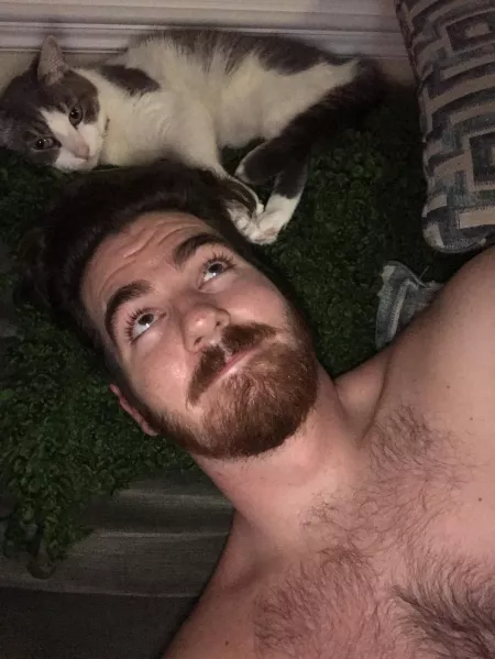 Anyone want to cuddle? by FatherDefiler