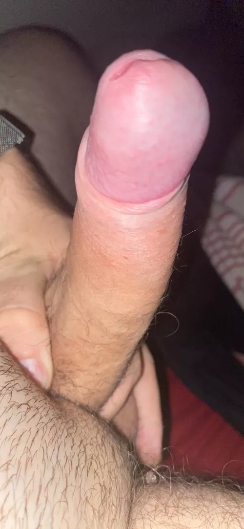 Anyone want to play? by Freddied445