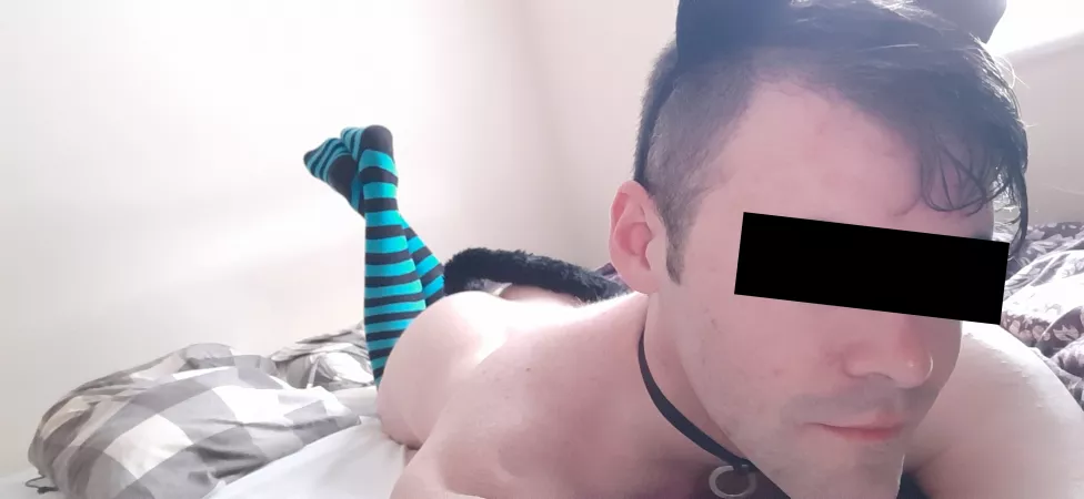 Anyone want to pull my tail? 😽 by SissyPanther