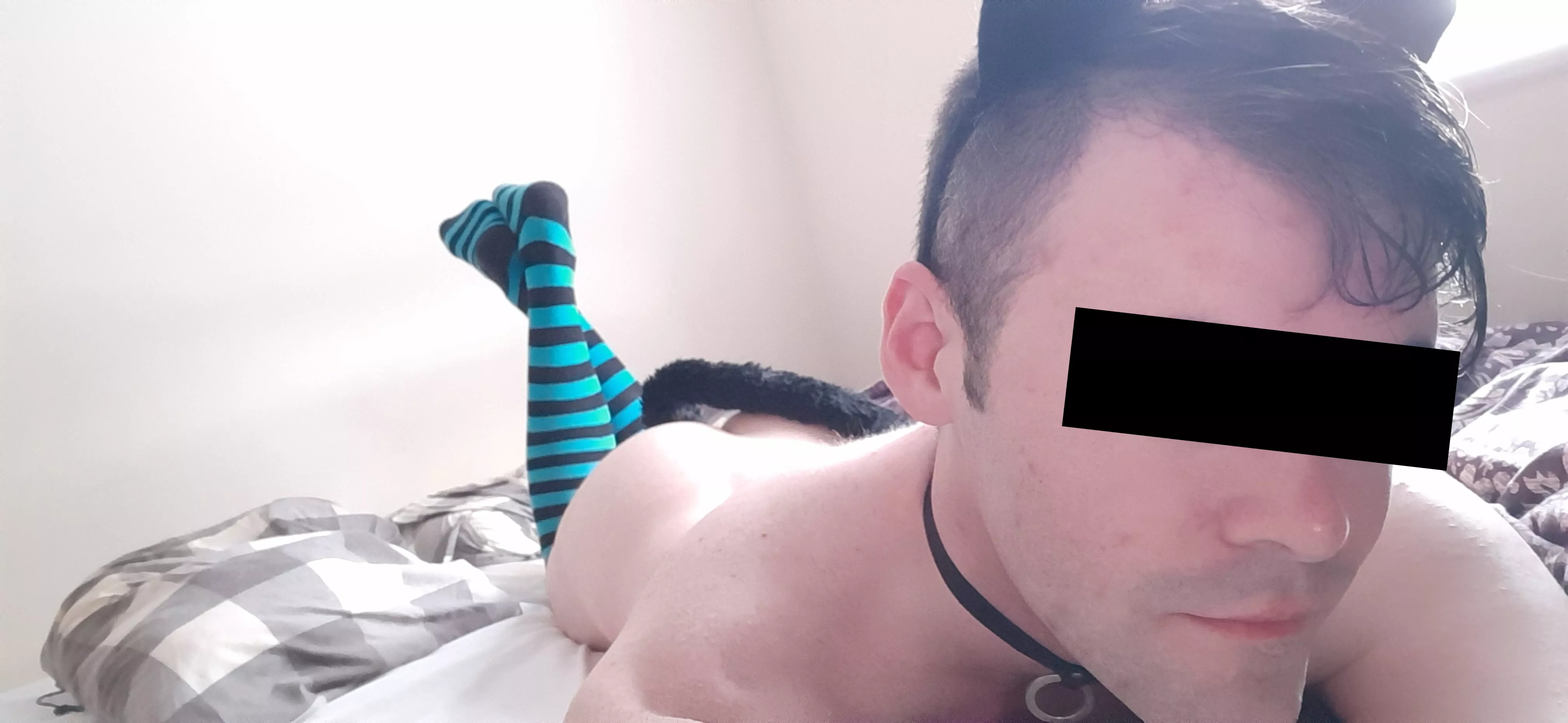 Anyone want to pull my tail? 😽 posted by SissyPanther