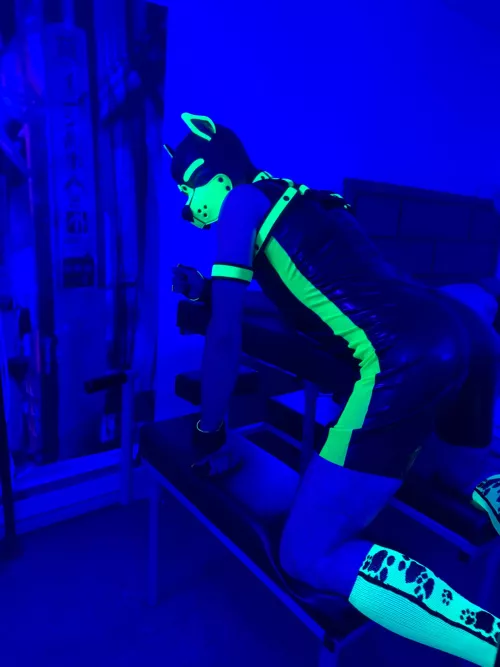 Anyone want to rub squeakers? by Pup_Piston