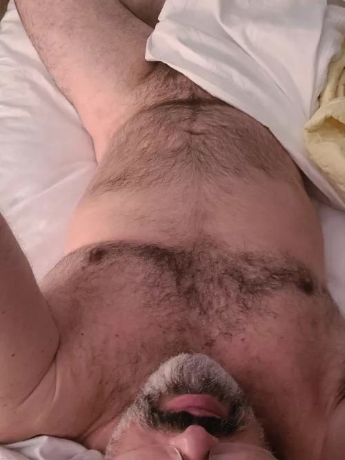 Anyone want to snuggle? by beardedandgrey78