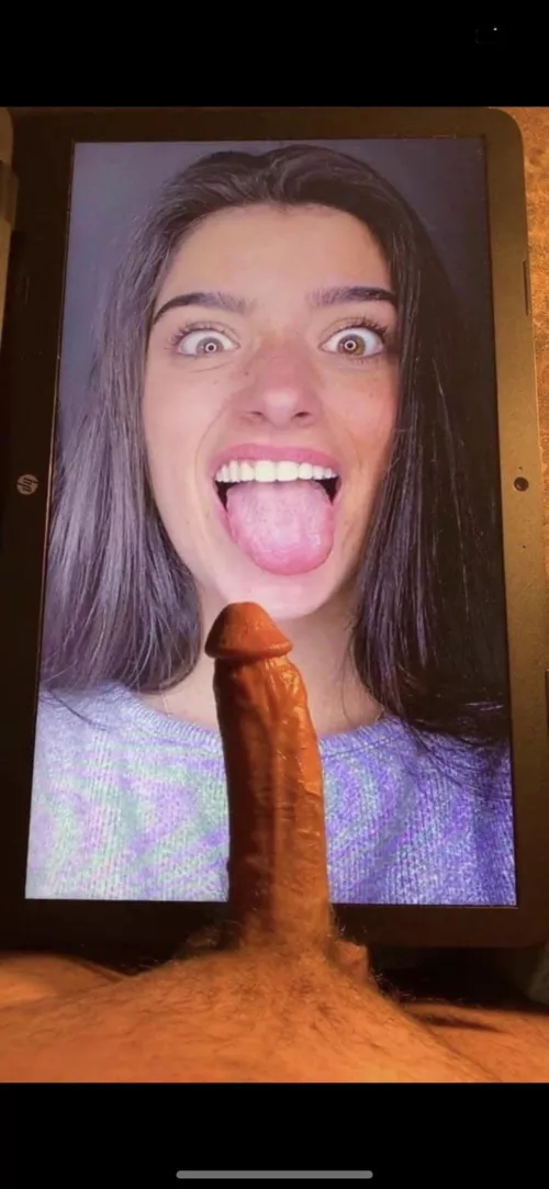 Anyone want to talk abt the damelios? Kik @ willalexander24 by WillAlexander2